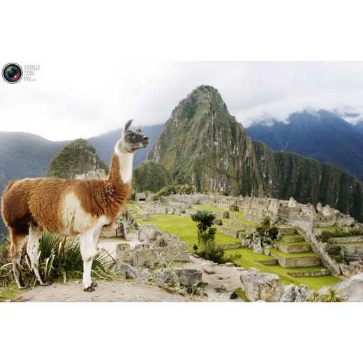 Peru 2023: Inca Lands to Tambopata Rainforest Reserve