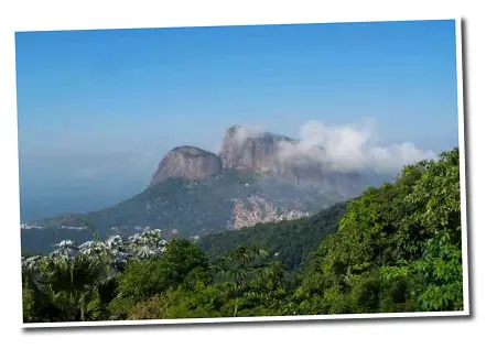 Private Tour half day Corcovado & Tijuca Forest -16