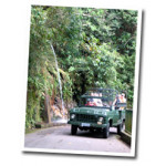 Private Tour half day Corcovado & Tijuca Forest