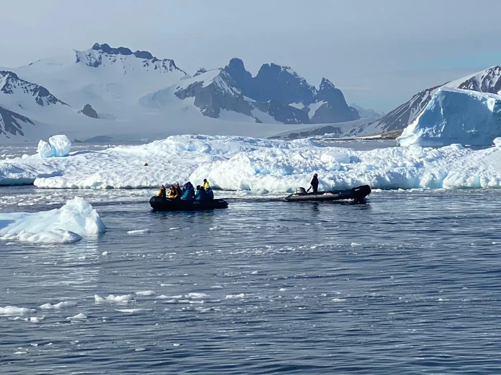 Antarctica:  Polar Circle - Whale watching