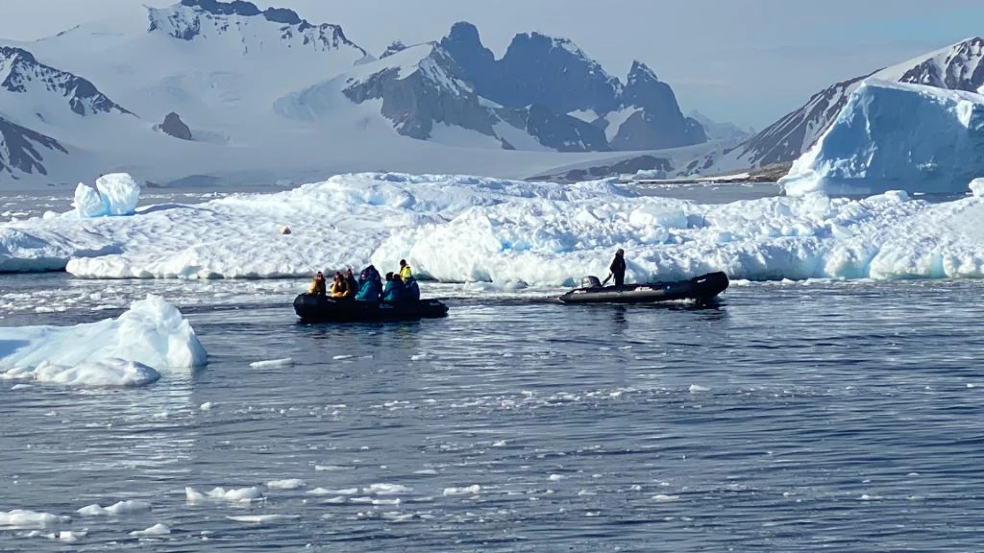 Antarctica:  Polar Circle - Whale watching