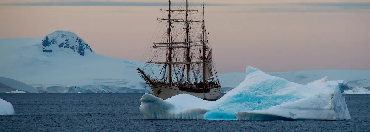 Antarctica:  Polar Circle - Whale watching -4334