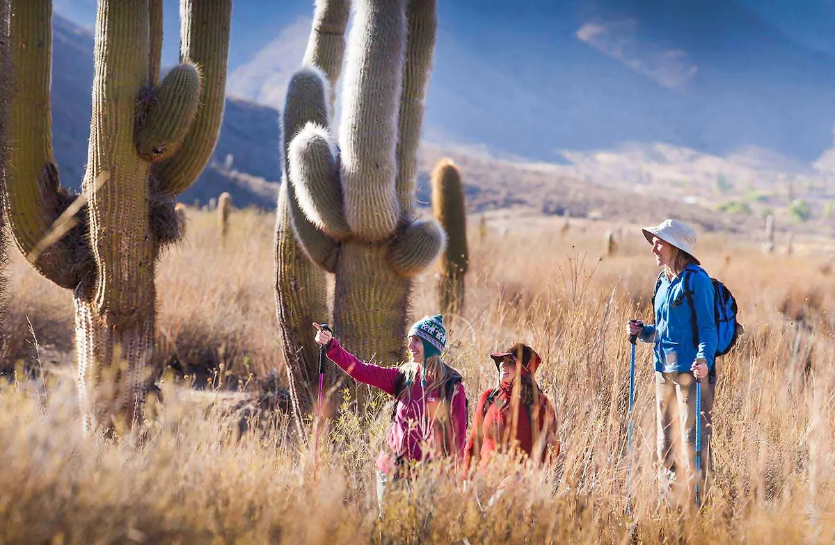 Day 4: Purmamarca - Salta -3