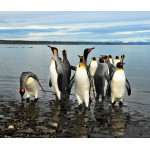Tour to Argentina -duration 11 days/10 nights:  Deluxe Argentina 2023