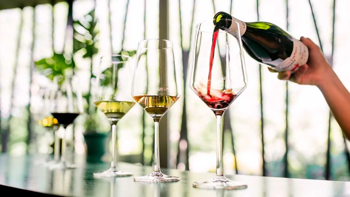 Tasting at Entre Cielos Mendoza, Argentine wines and vineyards