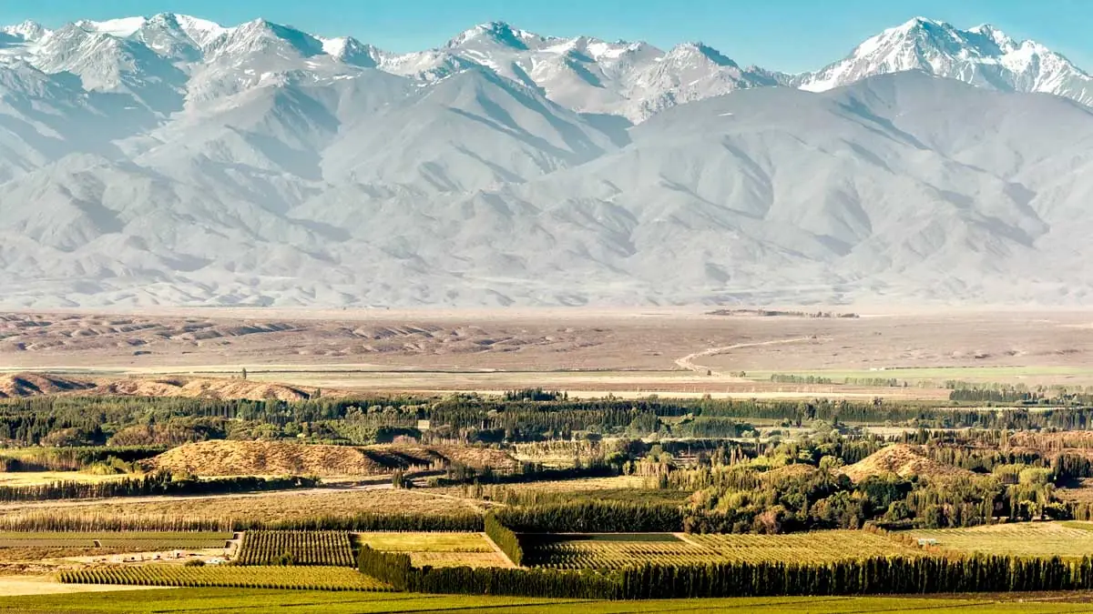 Vineyards against the Andes - Mendoza, Argentina