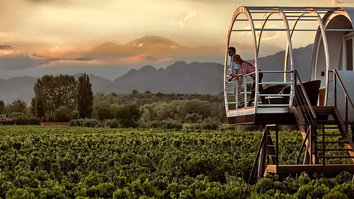 View of Mendoza valleys from Entre Cielos hotel, vineyards and the Andes