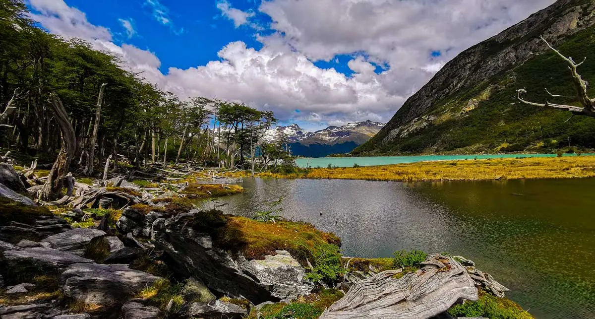 Tour to Tierra del Fuego National Park from Ushuaia, Argentina