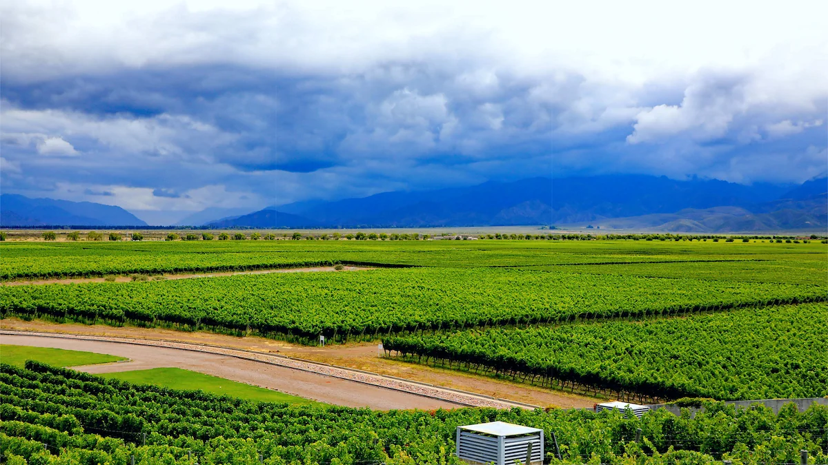 Day 13: Uco Valley -12