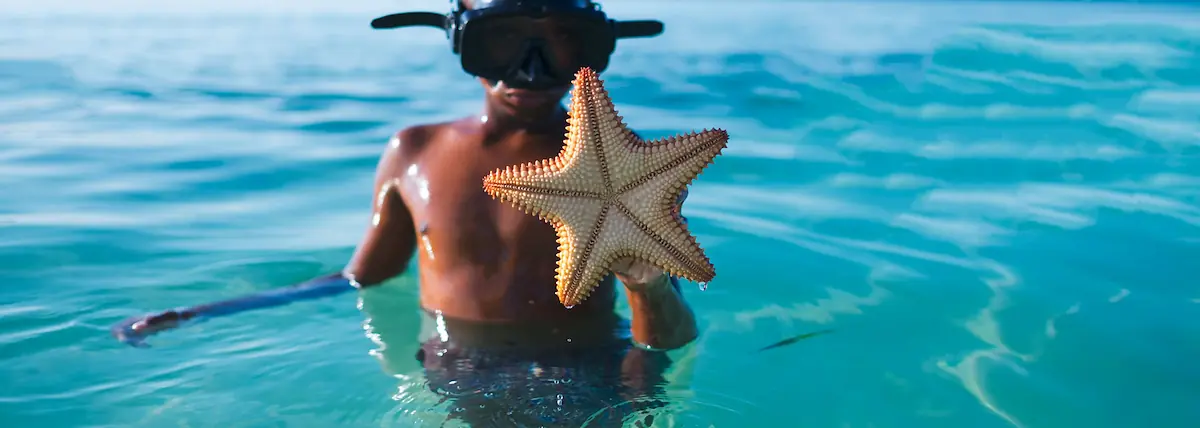Day 10: San Pedro Ambergris Caye   -9