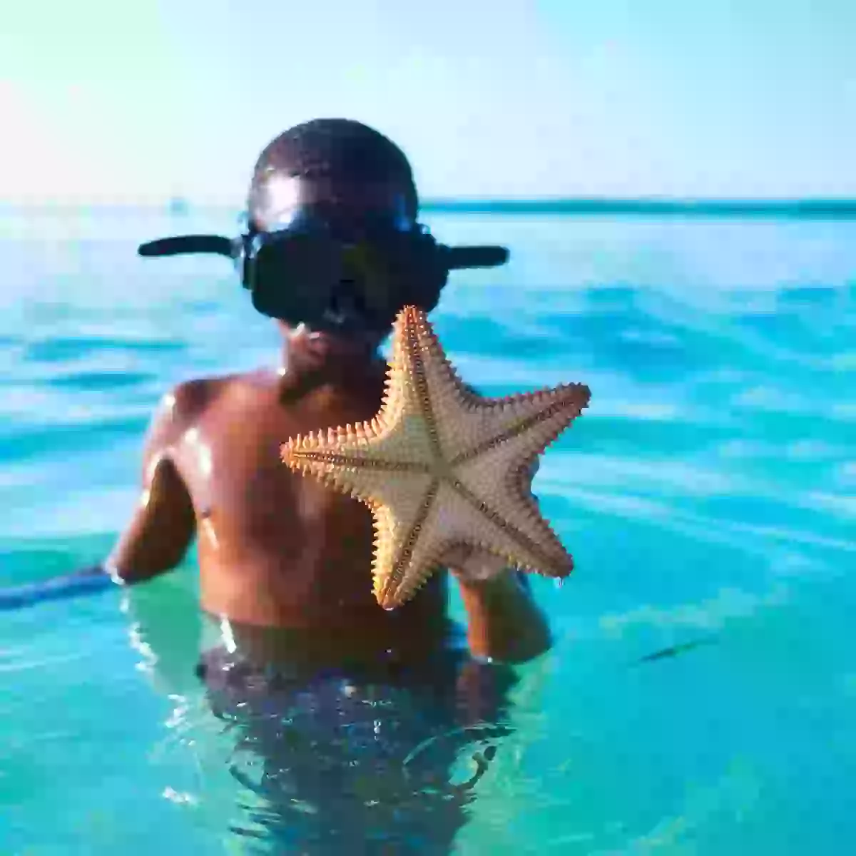 in photo: snorkeling in Belize 