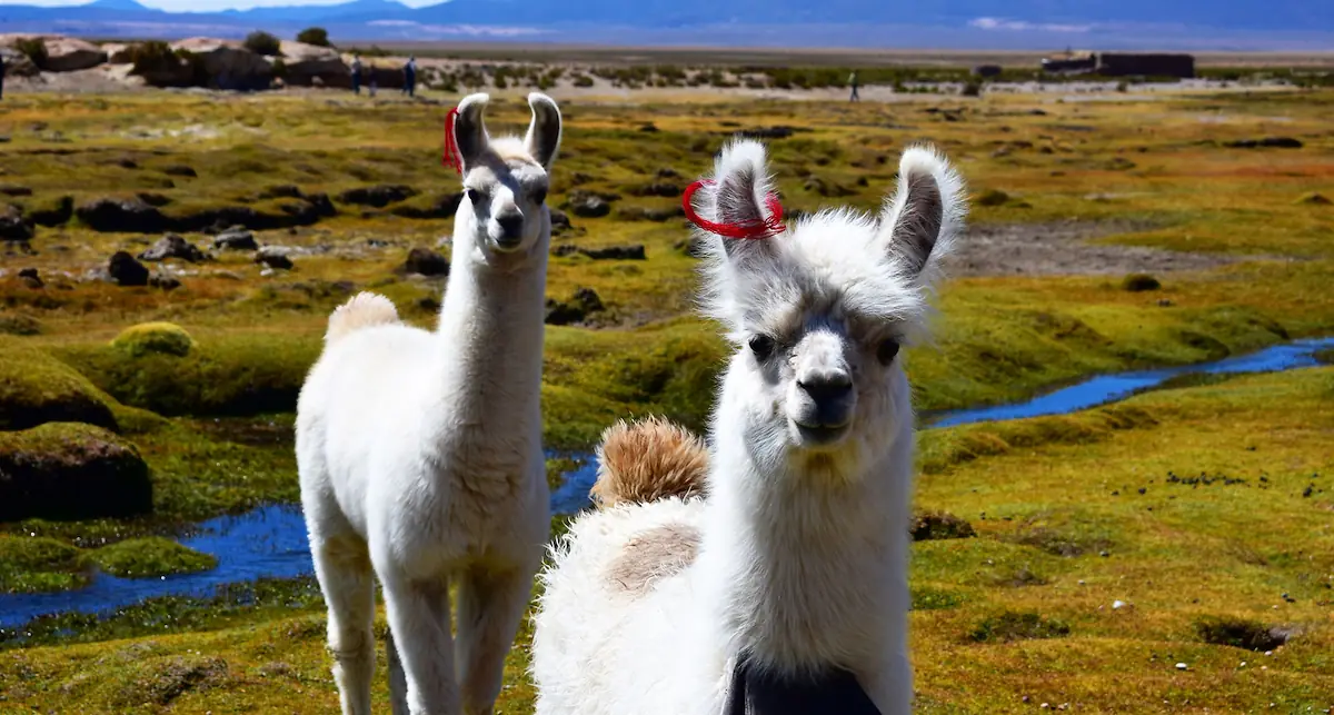 Day 4: Sacred valley  -3