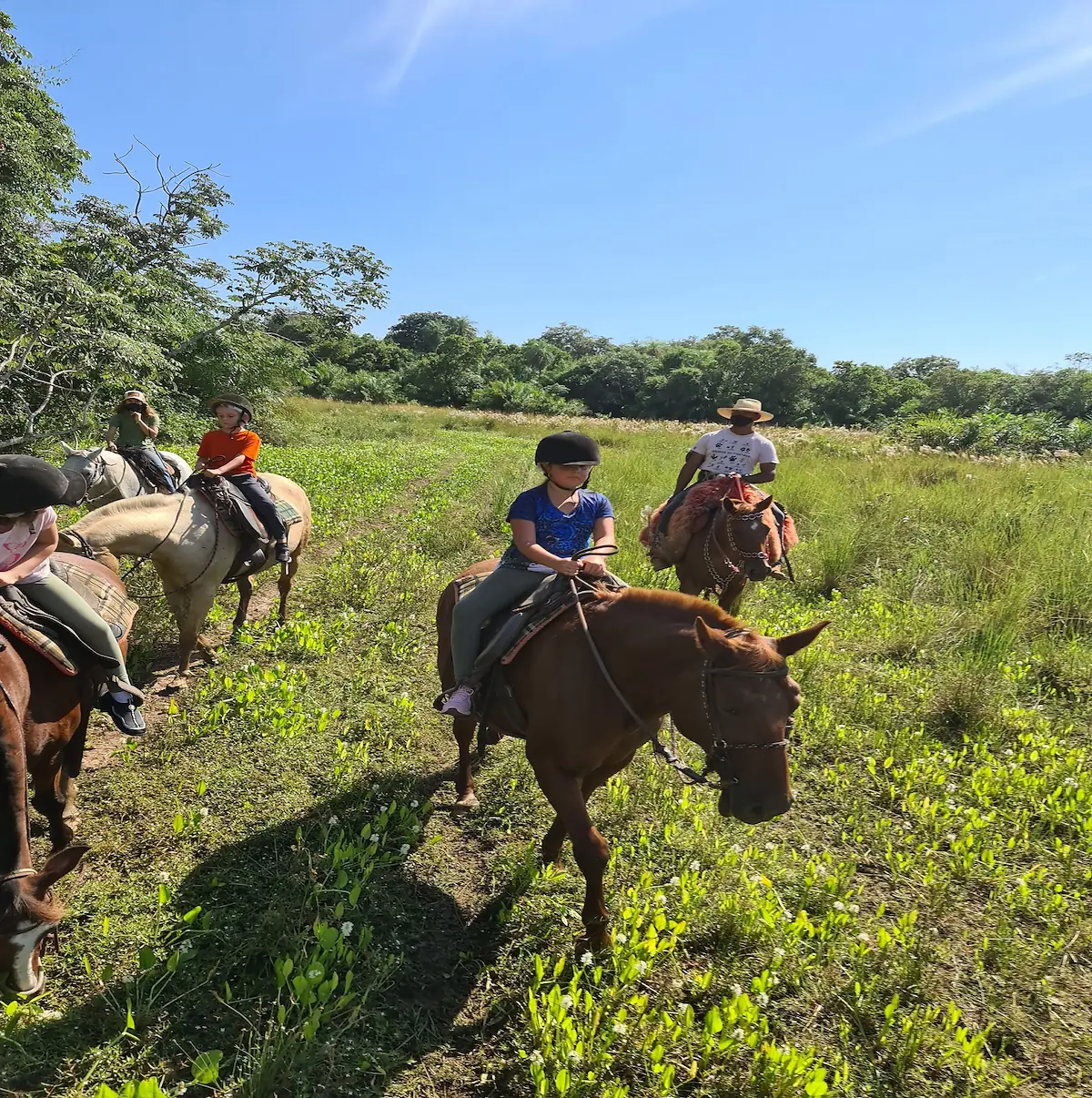 Day 2: Safari Day -1
