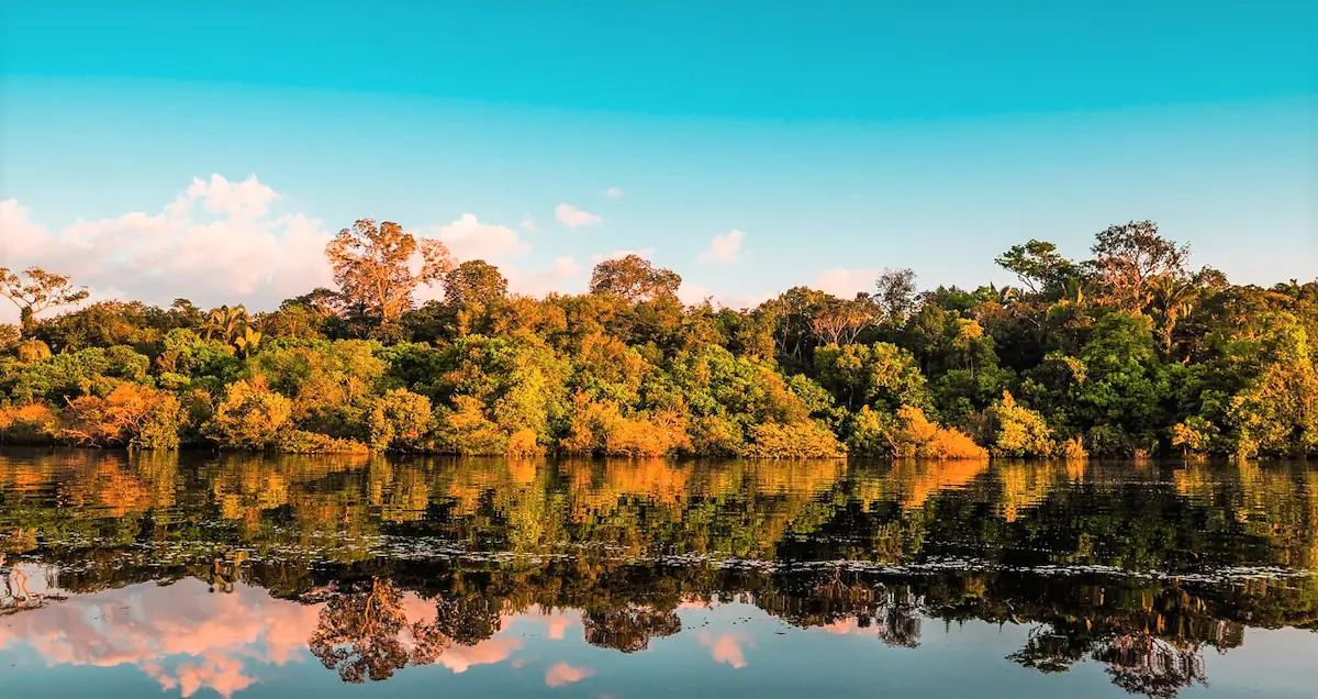 Brazil & Argentina with Amazon and Waterfalls -4227