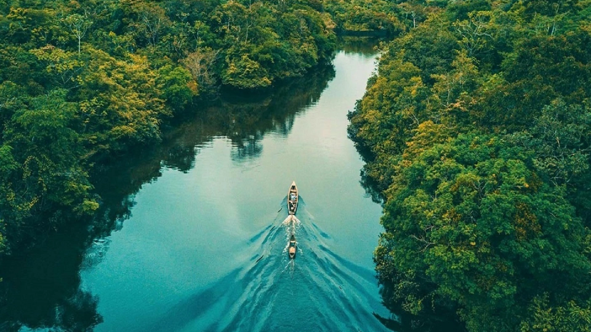 3 Ecosystems: Amazônia, Cerrado and Pantanal 