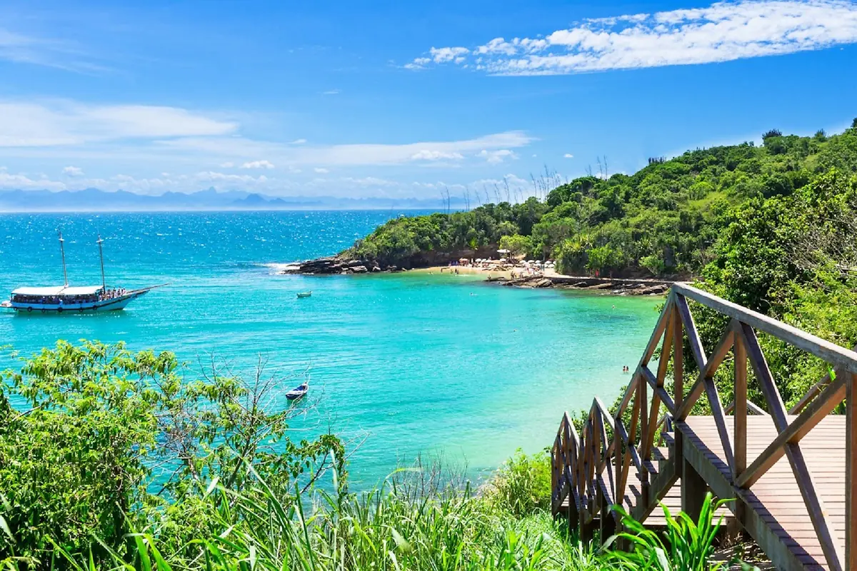 Tropical  Brazil 
