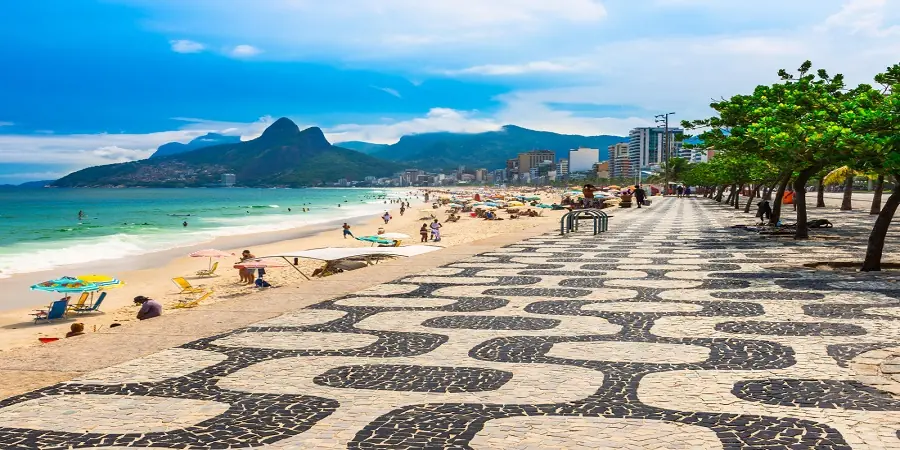 Brazil Coffee Tour  -3682