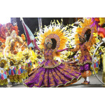 Unforgettable Carnival in Brazil 