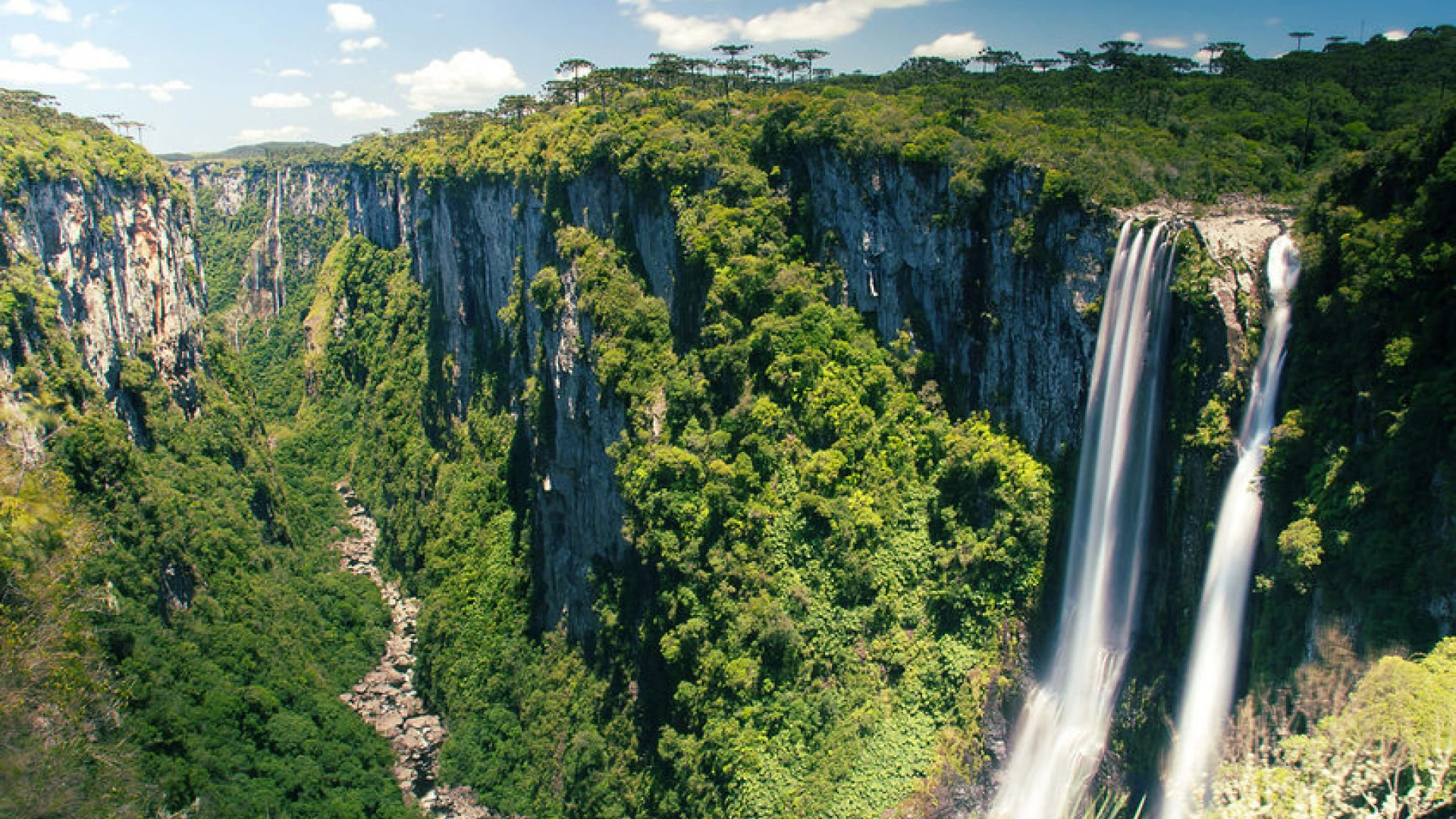 Northern Pantanal, Waterfalls, Rivers &  Rio de Janeiro 