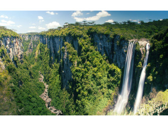 Northern Pantanal, Waterfalls, Rivers &  Rio de Janeiro 