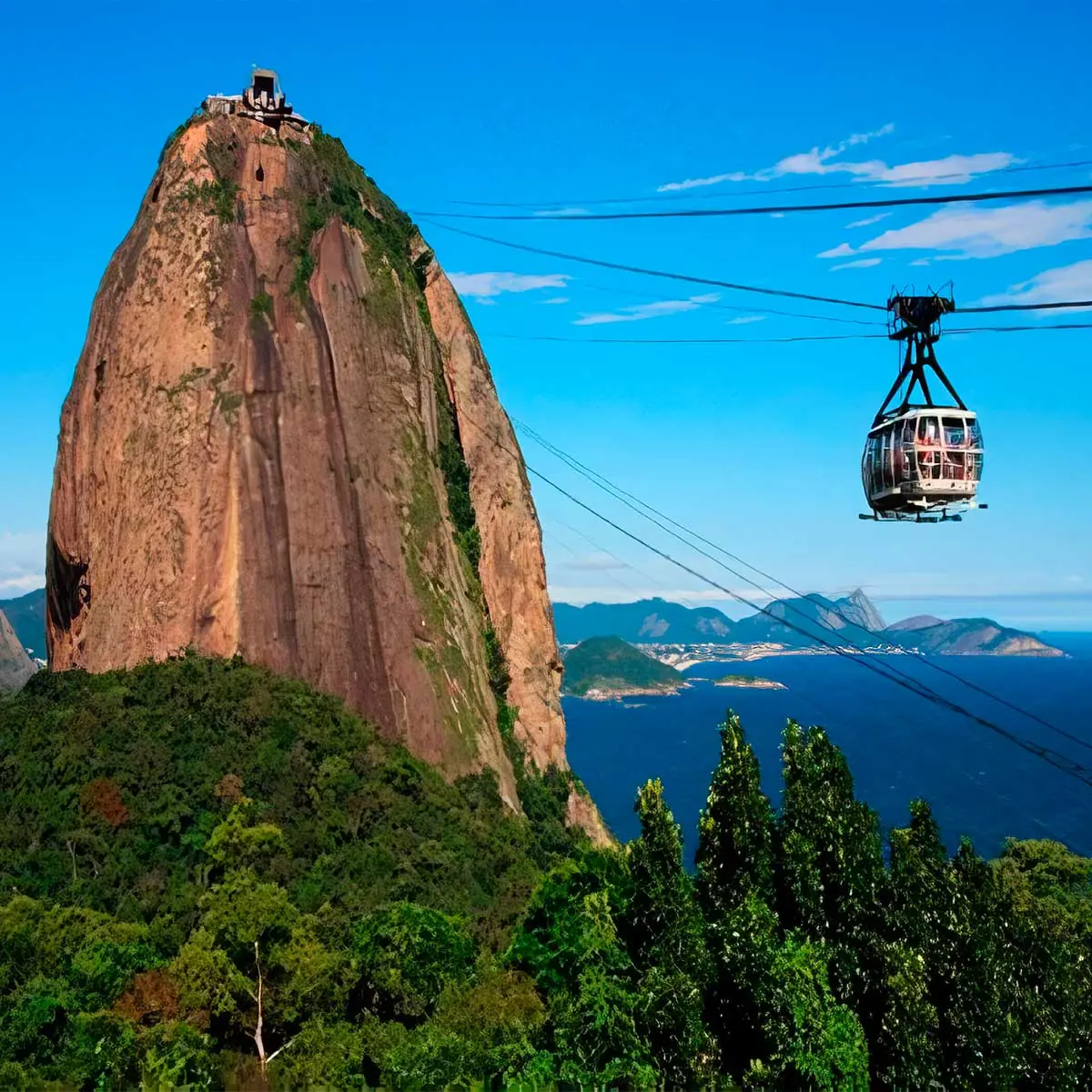City Tour & Sugarloaf Mountain (4 hrs) -3503