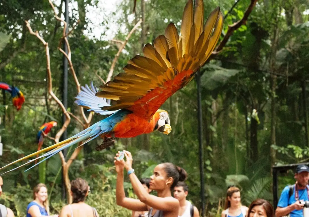 in the photo: The bird park