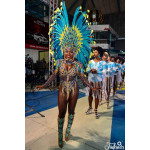 Exotic Carnival In Brazil 