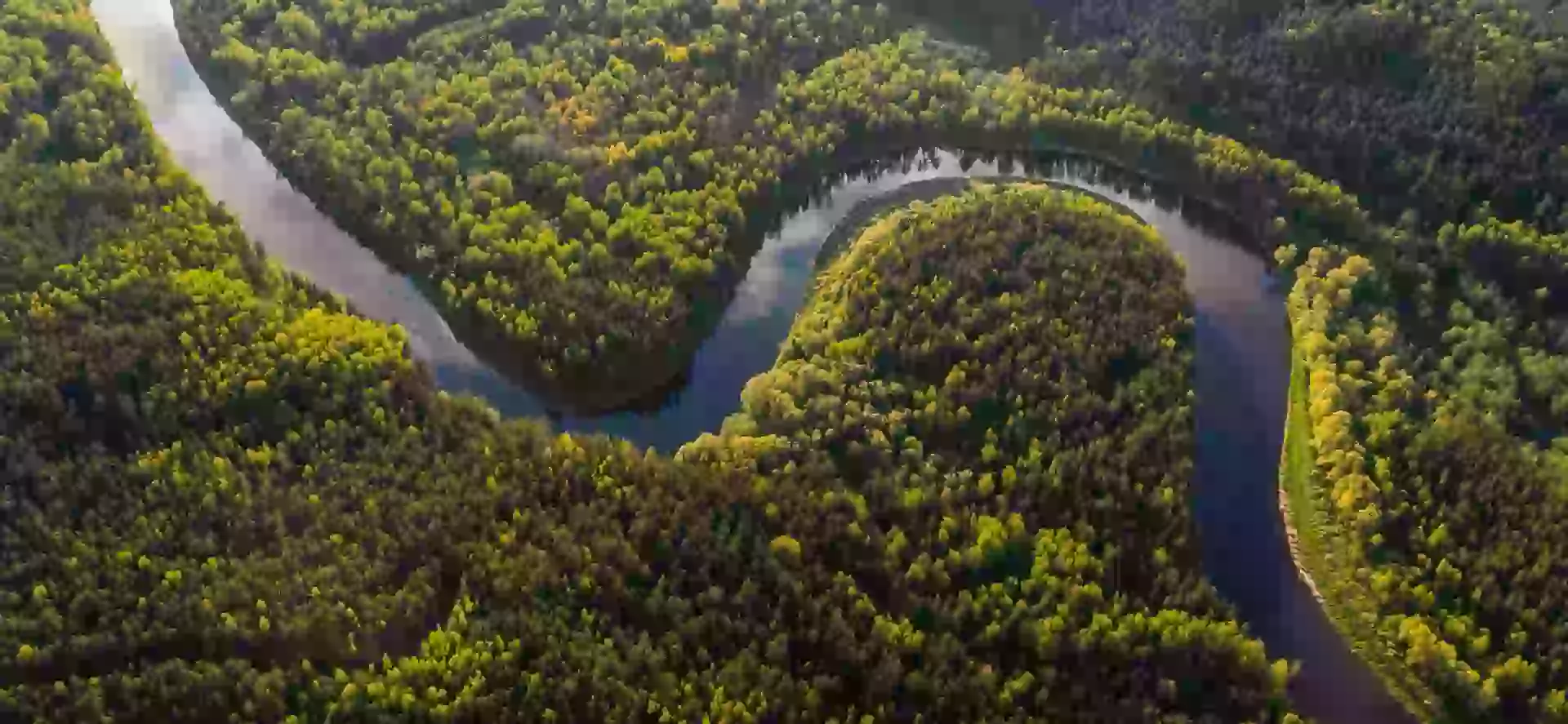  In photo: The river Amazon in Brazil 