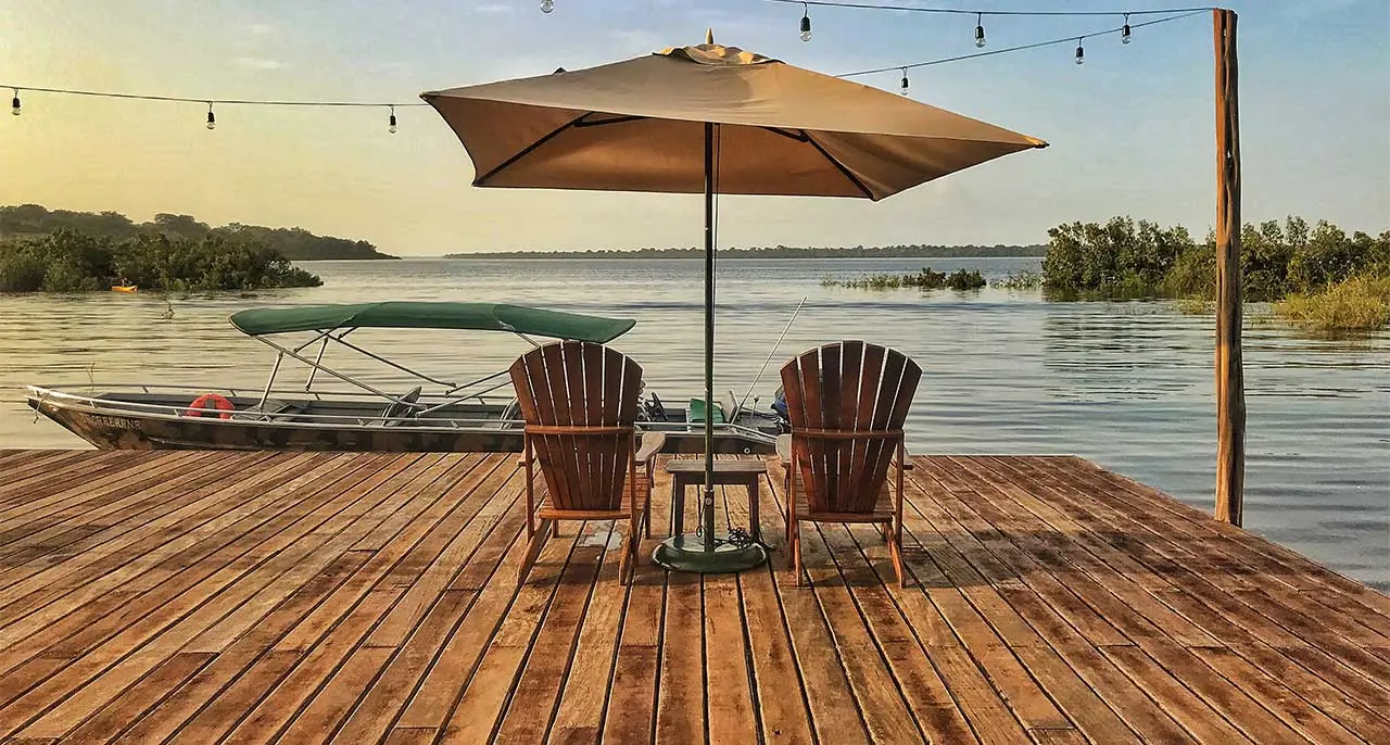 Eco-tours on the Amazon from Manaus, wildlife watching and Brazil's flora