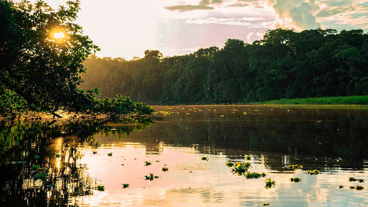 Day 8. Amazon. Jungle Trek. Caboclo Village. Piranha Fishing. Night Walk -10