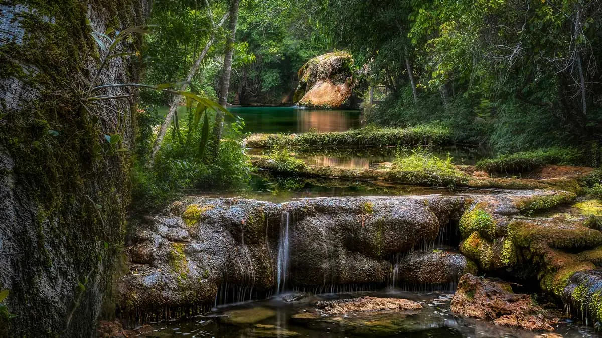 River landscape in Bonito, transparent water and green surroundings, ecotourism in Brazil