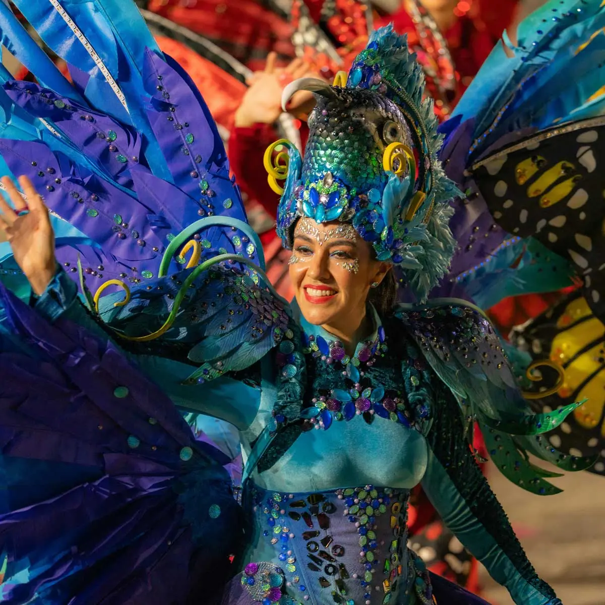 Champions Parade participant in Rio de Janeiro, carnival costume and samba of Brazil