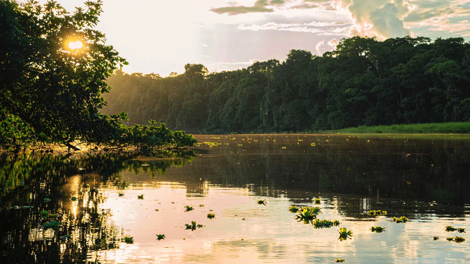 Brazil & Argentina with Amazon and Waterfalls