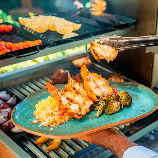 Gastronomic tour in Brazil, tasting Brazilian cuisine and local delicacies