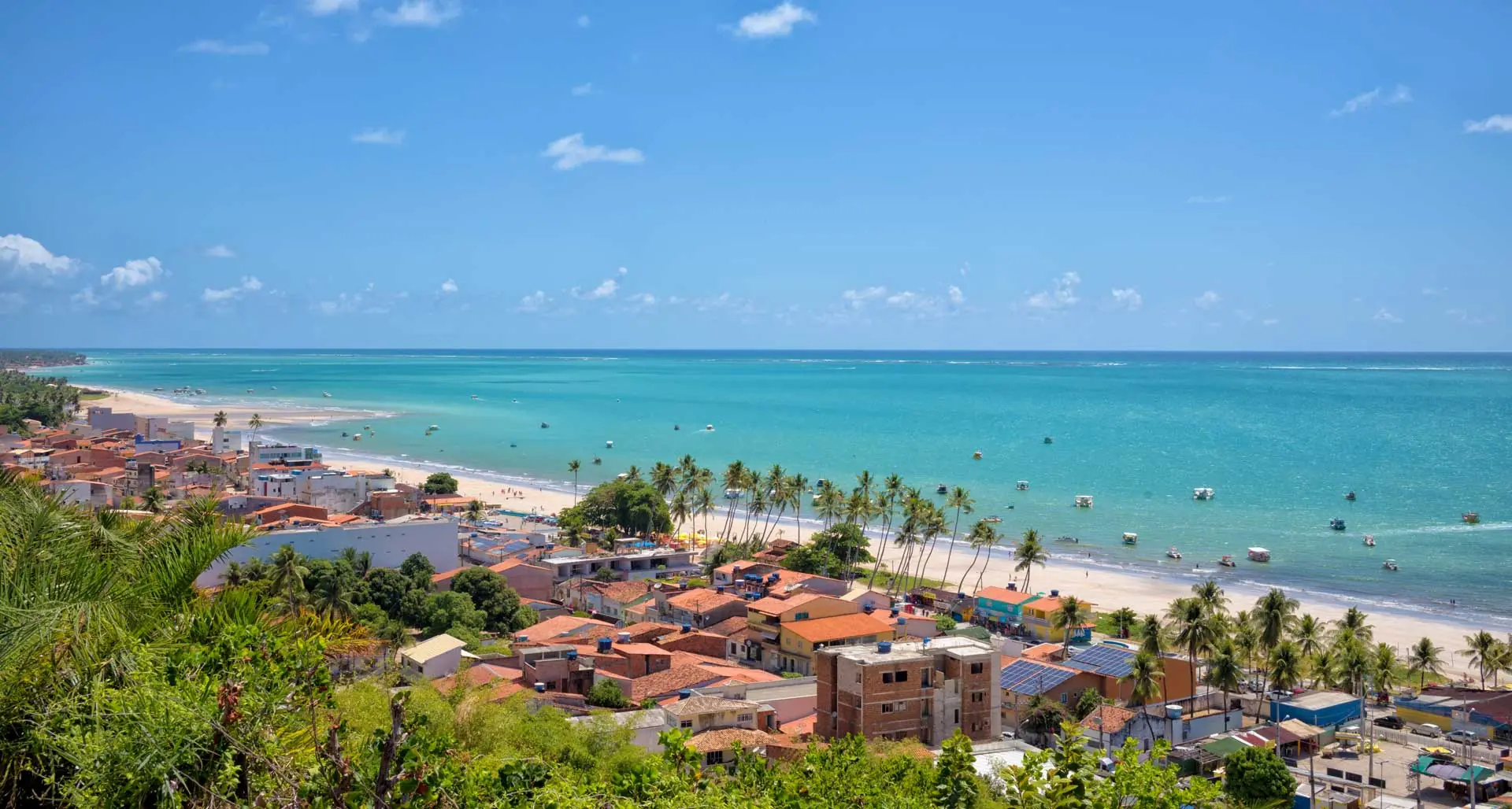 Southern Brazil and Wineries