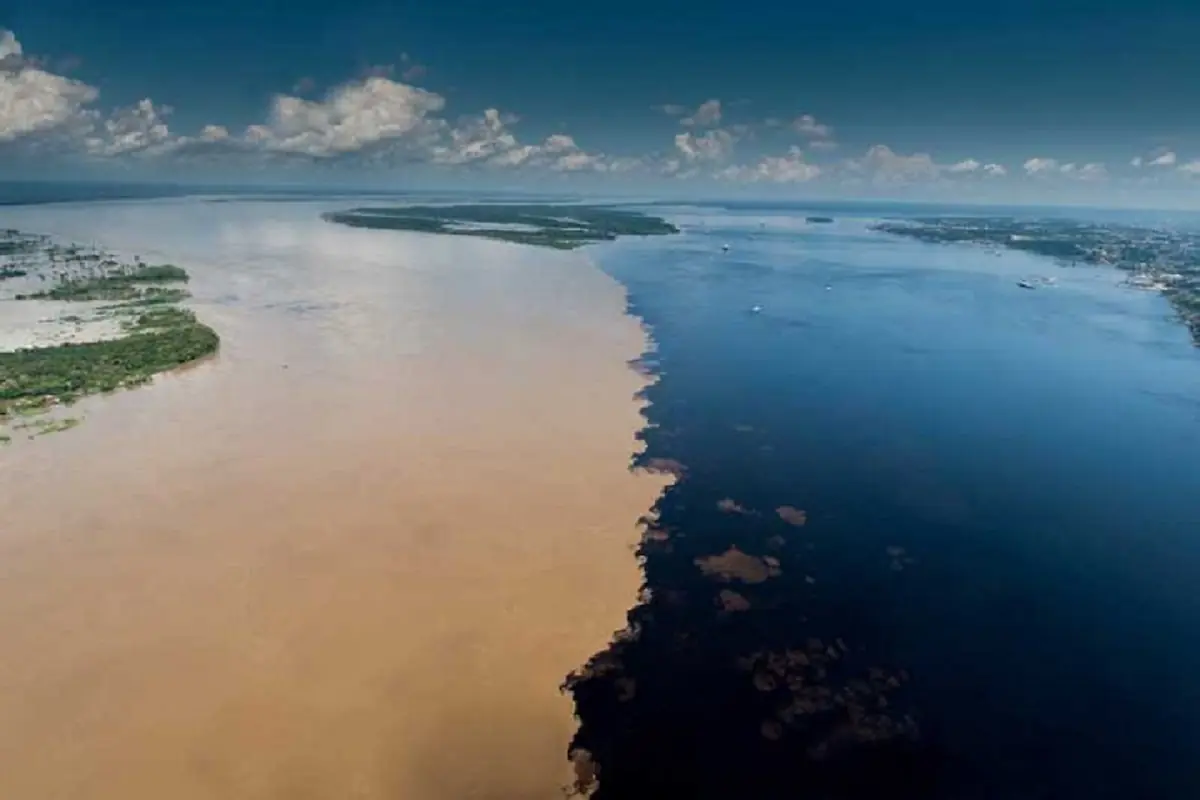 Day 8: Foz de Iguazu - Manaus -7