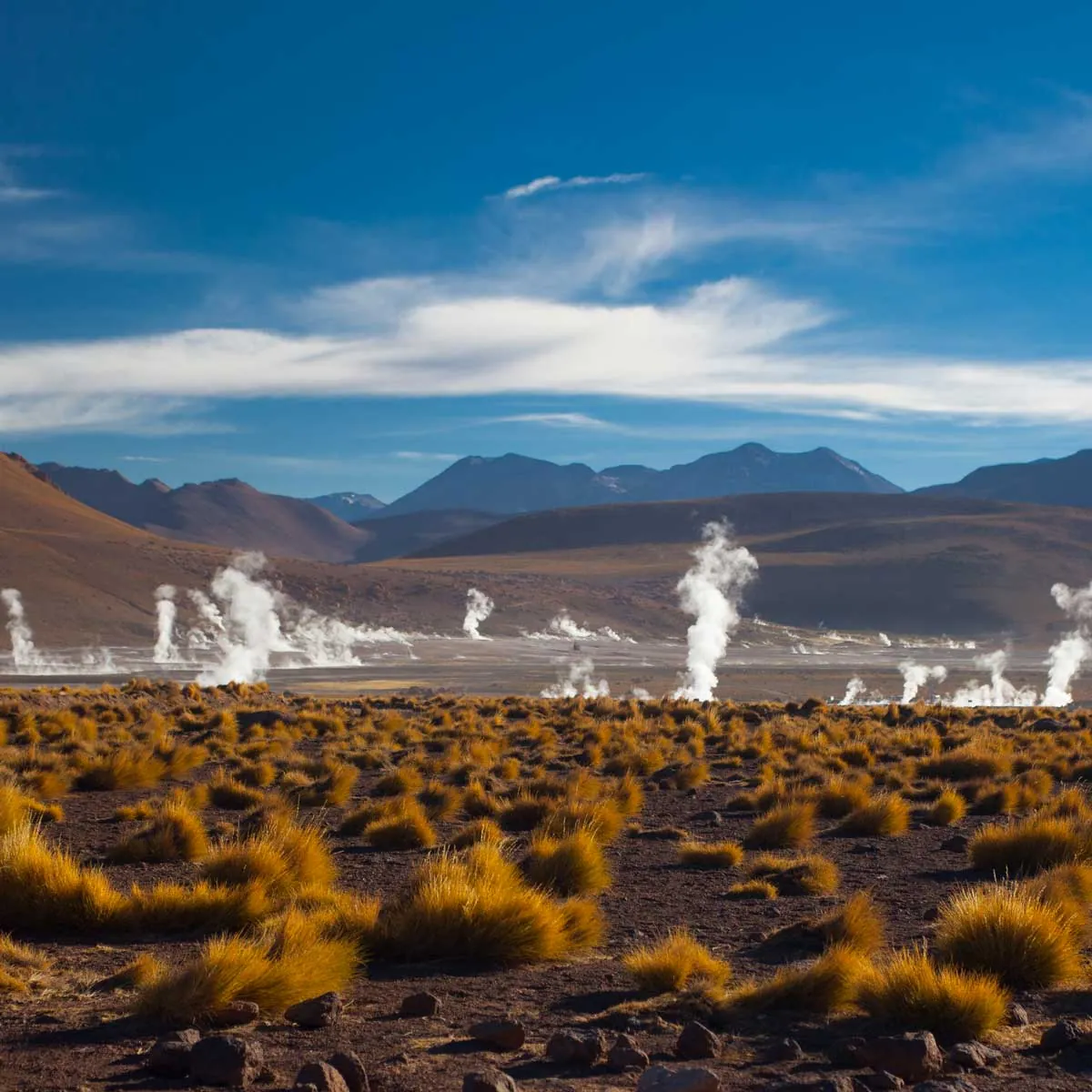 Chile: Santiago – Atacama  Desert  – Torres  del  Paine -3019