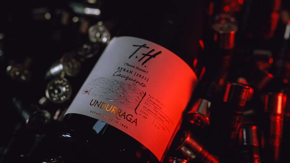 Chilean wine tasting in Maipo Valley and wineries