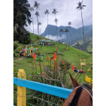 Luxury Colombia 2022: Coffee, Culture and Paradise Beaches