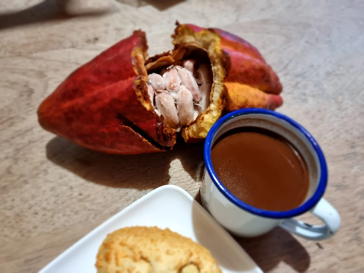 Day 7: Medellín – Pereira – Visit to the Coffee Farm – Interactive Coffee Process -6