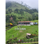 Luxury Colombia 2022: Coffee, Culture and Paradise Beaches