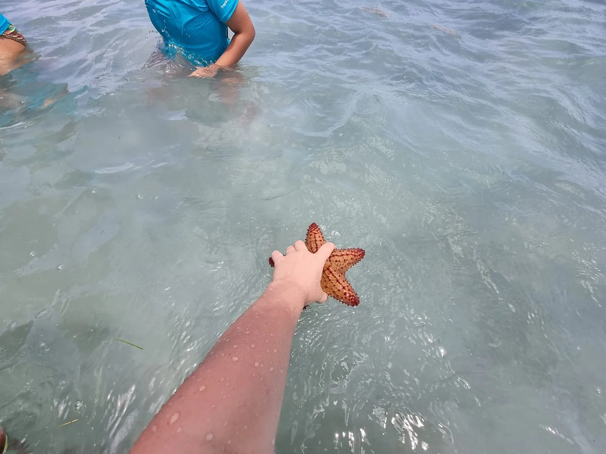Day 5: Cartagena – Isla del Rosario -4