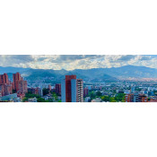 Medellín (6)