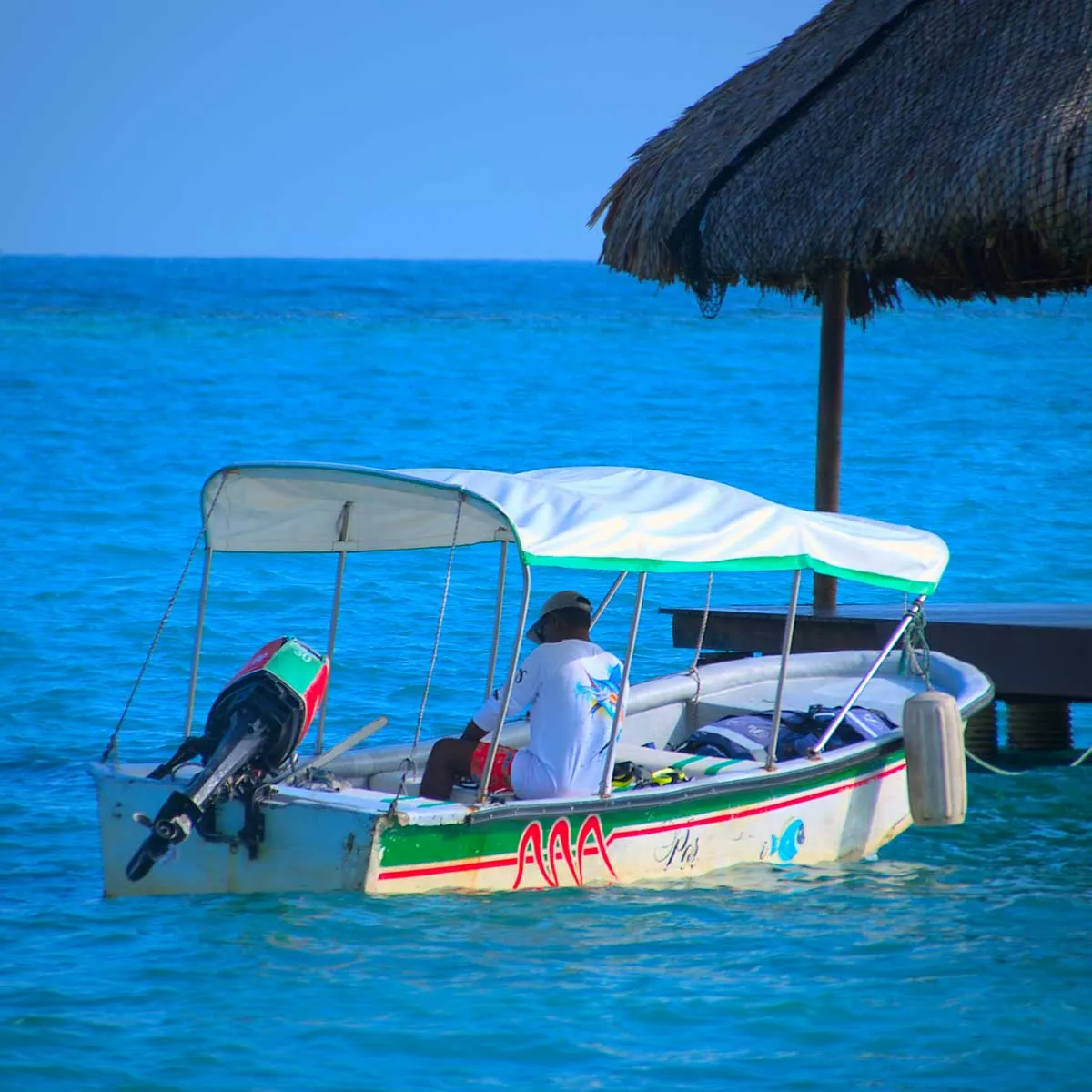 in the photo: Isla Rosario,  Colombia