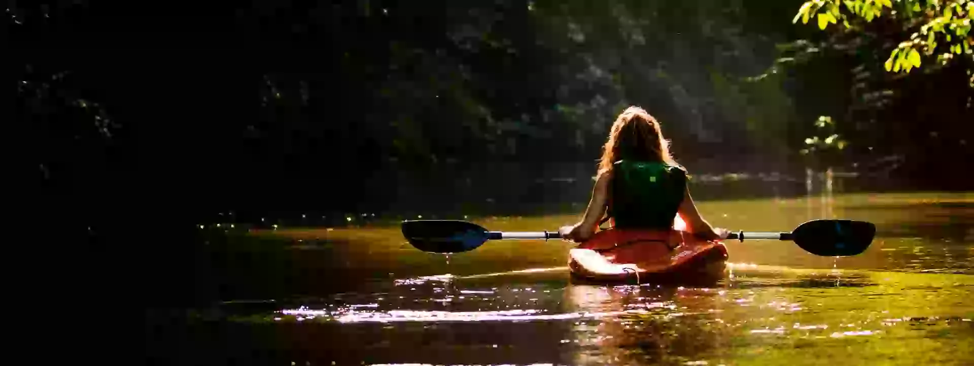 In the photo: Tortuguero Canals (National Park) in Costa Rica