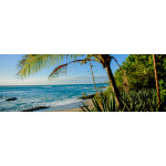 The best of Caribbean Coast 2023