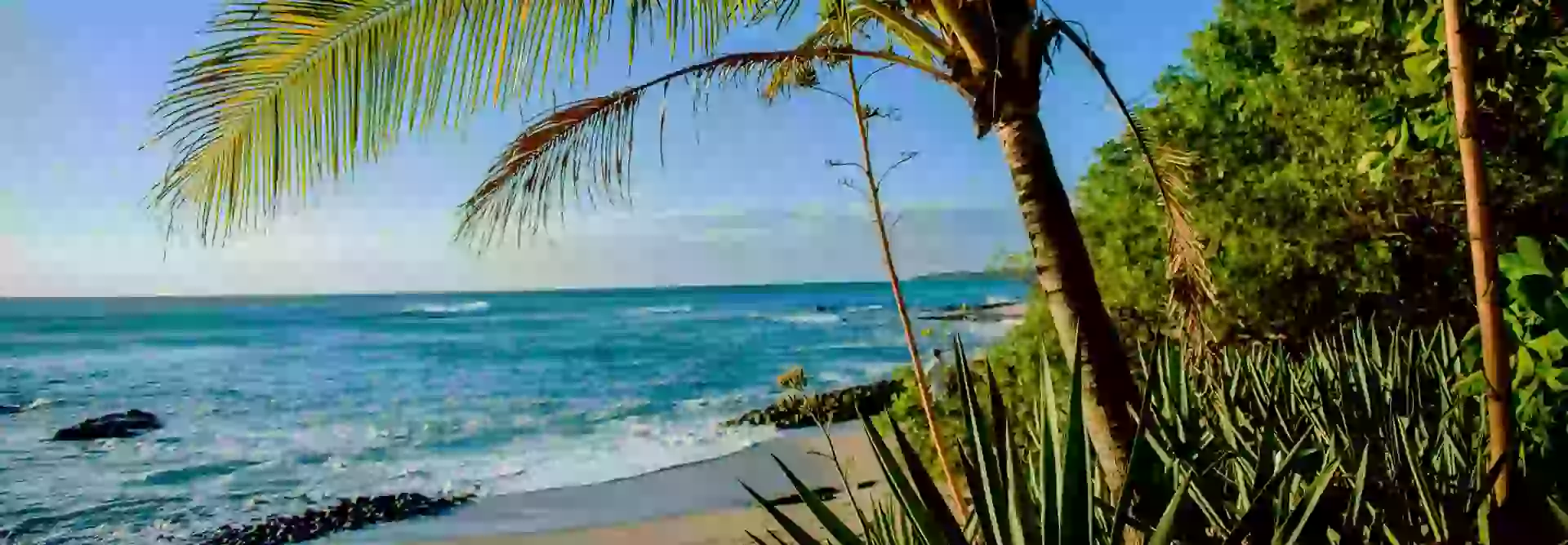 in the photo: Playa Tamarindo Beach in Costa Rica