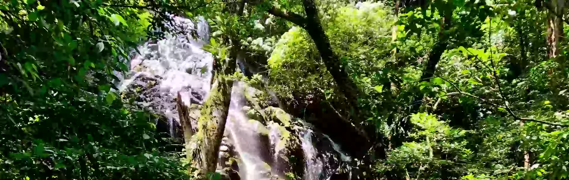 in the photo: Rincon de la Vieja in Costa Rica 