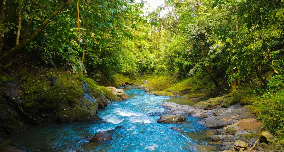 Corcovado National Park, rainforest hiking trail