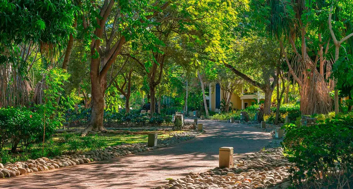 Westin Reserva Conchal resort grounds, Costa Rica